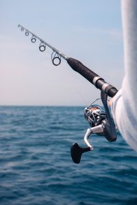 Read more about the article Fish or Cut Bait – the IRS S-Corp Election Deadline