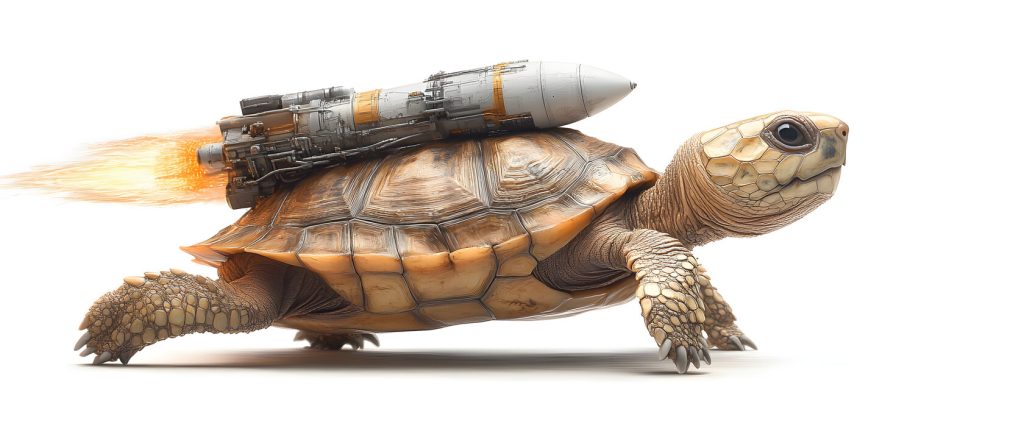 Tortoise with a rocket on its back. Represents the acceleration from a hybrid C-Corp S-Corp strategy